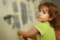 Wall painter