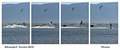 Kitesurferi - …