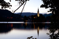 Bled1