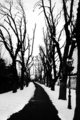 Put kroz zimu.…