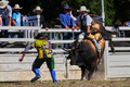 Bull riding