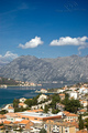 Kotor