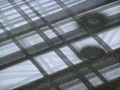 geometrija