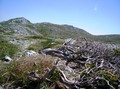 Juzni Velebit