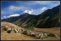 Annapurne