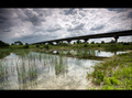 Bridge skyline