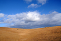 Zlatibor I 2010