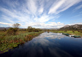 Skadar Lake