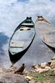 Skadar Lake...