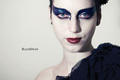 black_swan_i