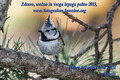 Srečno 2013