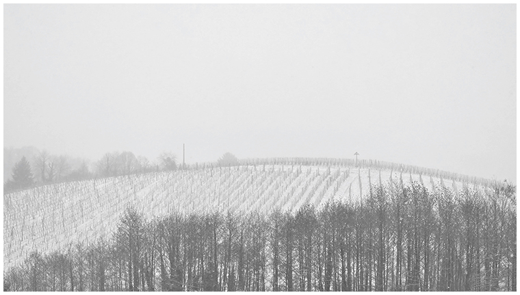 al zima srcu govori jos tise