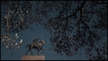 (k)night in sh…