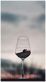 'tis the …