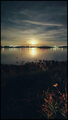 moonrise, medu…