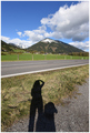 ... homeward b…