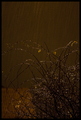 tears in heave…