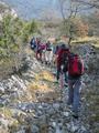 po šumama i go…