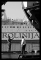 ROLINIJA