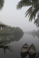 Hoi An mist