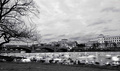 Vltava vivid v…