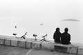 zalazak (stere…