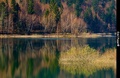 Jezero Lokve