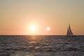 Into the sea