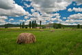 Vransko polje