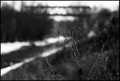 Colapsed Bridge