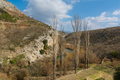 Cetina