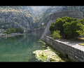 Kotor