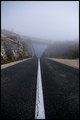 Maglovite ceste