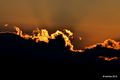 sunrise petkom