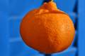 Mandarina, Cit…