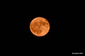 Erdbeermond