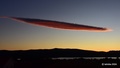 lenticularis