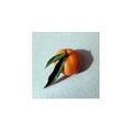 klementina s N…