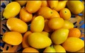 kumkvat-2