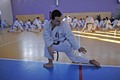 karate seminar