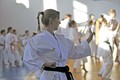 karate seminar