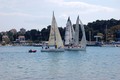 regata - Rovinj