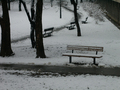 park u snijegu