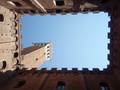 siena