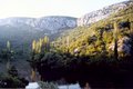 CETINA4