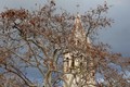Sveti Arnir