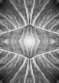 kaleidoskop 2