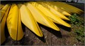 Banane