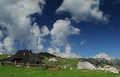 Velika planina