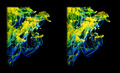 3D Stereoscopy 